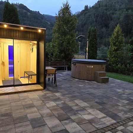 Pensiunea Rau Sadului Exterior foto